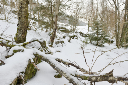 Ytre Grindheim, Audnedal, steingjerde