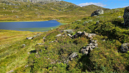 Stakktuft, Heiavatnet, Suldal