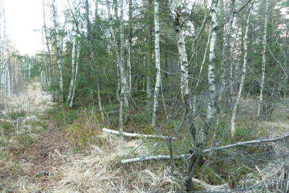 Løetuft (Tønnes´es løe)