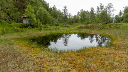 H&oslash;yl&oslash;e Herborgskar, Klungtveit, Suldal