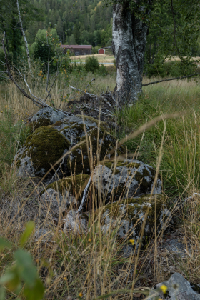 Hovland, Vegusdal, steingjerde