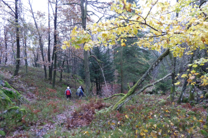 Hvermannsheia (tradisjonslokalitet)