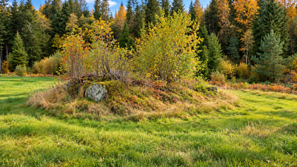 H&oslash;y&aring;sen under Eikeland. Husmannsplass