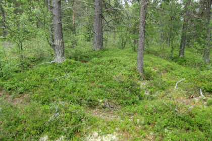 Kalkbrenneri ved Limsteinsmyra