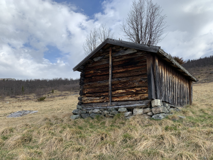 Slåtteløe
