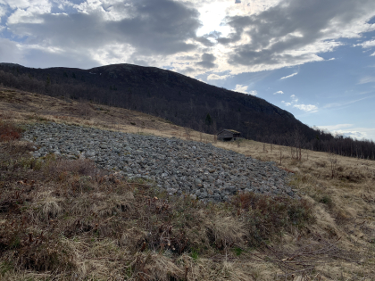 Rydningsrøys