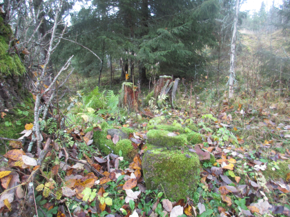 Husmannsplassen Nyhus under Vettal Store