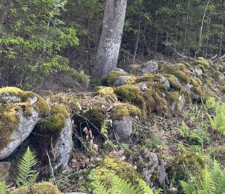 Steingjerde (etterreformatorisk), G&aring;ser&oslash;d, Tj&oslash;lling