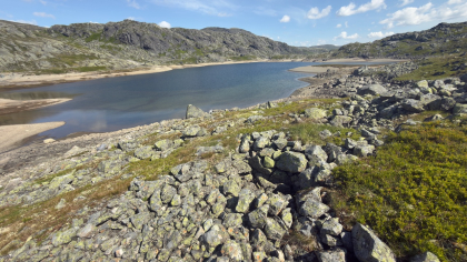 Fangstanlegg for villrein