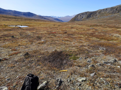 Fangstgrop rein, Sjugurdsjødalen (Vågå)