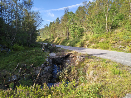 Steinbro Sluppatj&oslash;rna