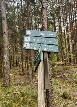 Johanbingen husmannsplass under Lundem s&oslash;ndre 