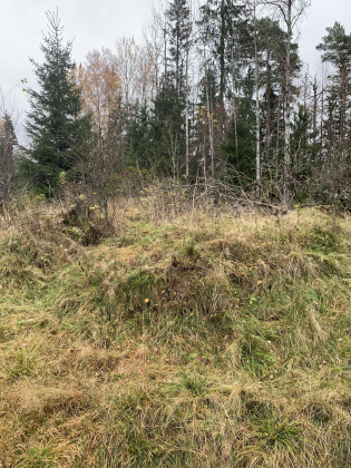 3118 534 Vollen u. Krogstad, gnr. 311/1