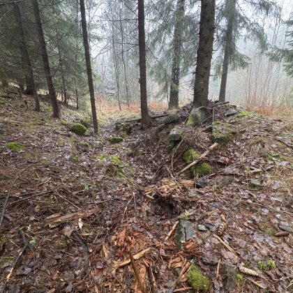 Skjerp i Krokstadelva - Borgertjern skjerp