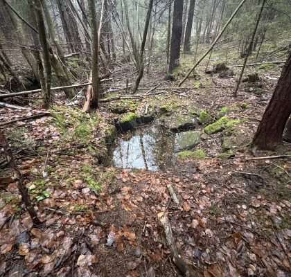 Skjerp i Krokstadelva - Inntaksdammen / Vrierne skjerp