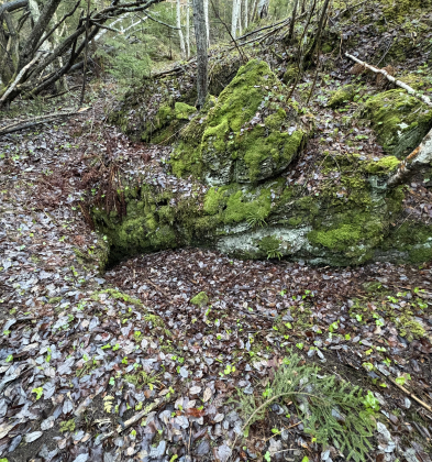 Bråtaseter gruver og skjerp (= Braatte Sæther grube)