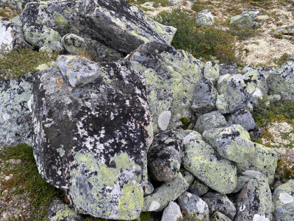 Jaktlokalitet med fleire bogastille