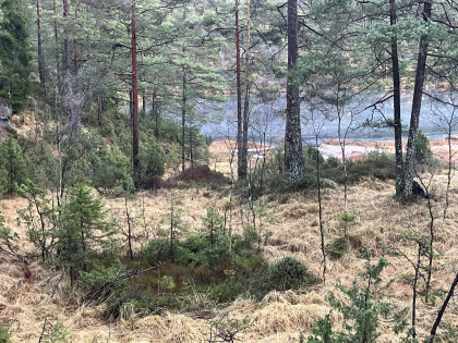 Knibetj&oslash;nnl&oslash;a