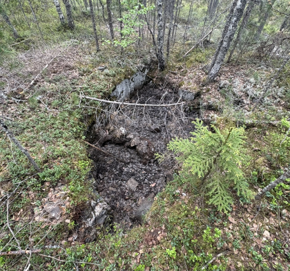 Fiskel&oslash;s / Dokka skjerp 4