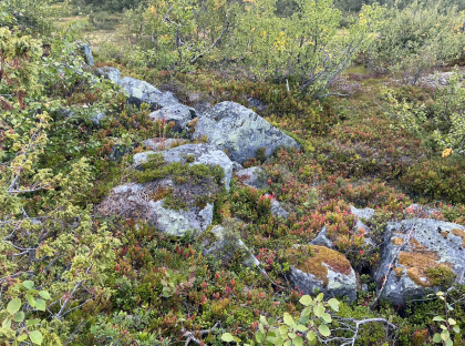 Skjerp