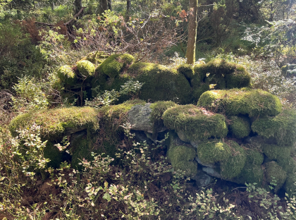 Steinsetting