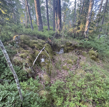 Svarterud - R&oslash;sk 2