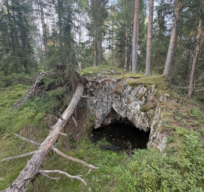 Svarterud - Skjerp 2 - Synk
