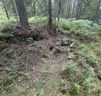 Svarterud - R&oslash;sk 1