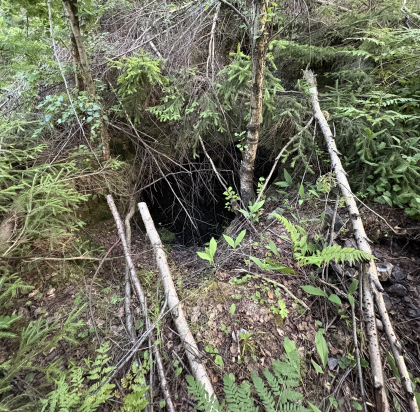 &Aring;serud gruvefelt, Andorsrud - Skjerp; Hestemyrbrenna forekomst (2)