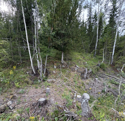 &Aring;serud gruvefelt, Andorsrud - &Aring;serud gruve, to skjerp