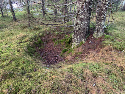 Groper med ukjent funksjon