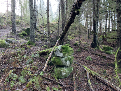 Tuft etter sommerfj&oslash;s