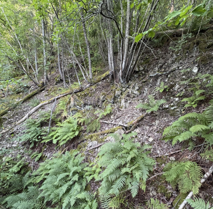 Gamlebakkane forekomster, Konnerud - Skjerp/r&oslash;sk
