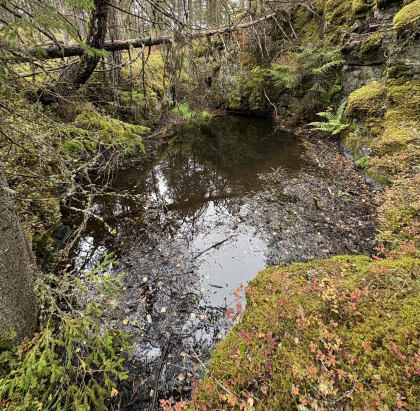Stormyra forekomster - Nord-vestlige
