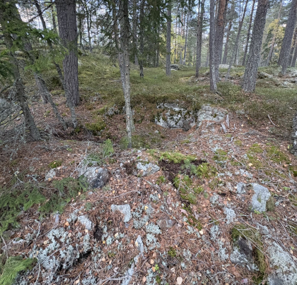 Lundteigen / L&oslash;ken forekomst - R&oslash;sk