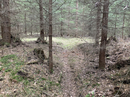 Bevart milebonn  nordvest for Sponsletta