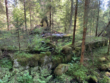 V&aring;ningstuft p&aring; S&aelig;tre