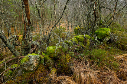 Kalland, Hornnes, steingjerde
