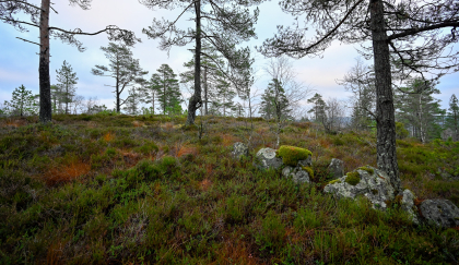 Kalland, Hornnes, steingjerde