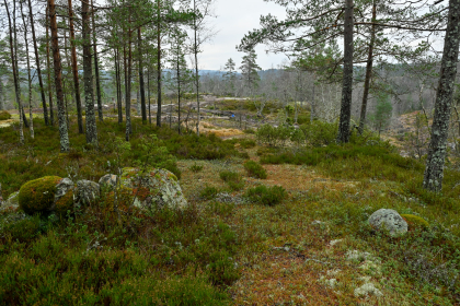 Kalland, Hornnes, steingjerde