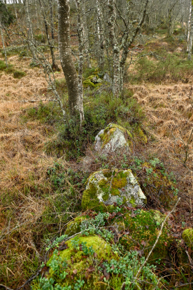Kalland, Hornnes, steingjerde