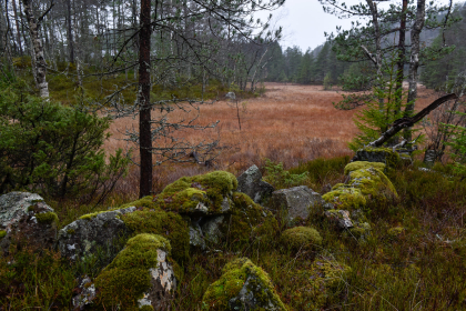 Kalland, Hornnes, steingjerde