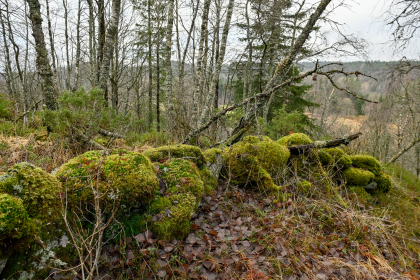 Kalland, Hornnes, steingjerde