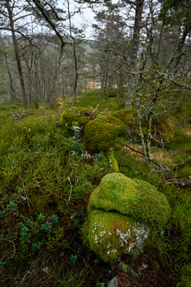 Kalland, Hornnes, steingjerde