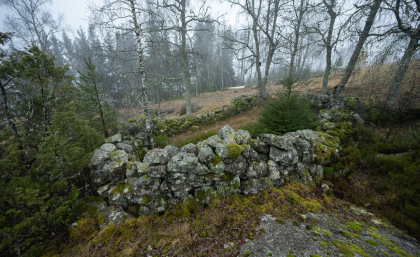 Kalvehagen, Gautestad, Evje, innhegning