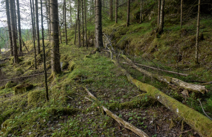 Kolandsheivegen, Askedalen, Bjelland, k&oslash;yreveg
