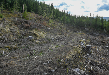 Kolandsheivegen, Sylvskardet, Bjelland, k&oslash;yreveg