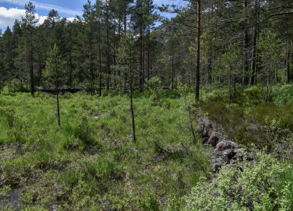 Kopps&aring;na, B&aring;s, &Aring;mli, flotingsskjerm