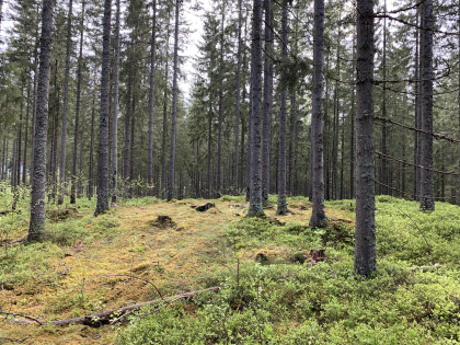 Kullmile i Nittedal kommune