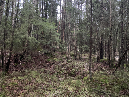 Kullmile i Nittedal kommune